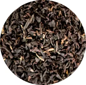 Classic Black Classic Black